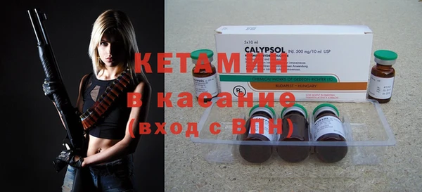 шишки Корсаков