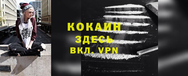 шишки Корсаков