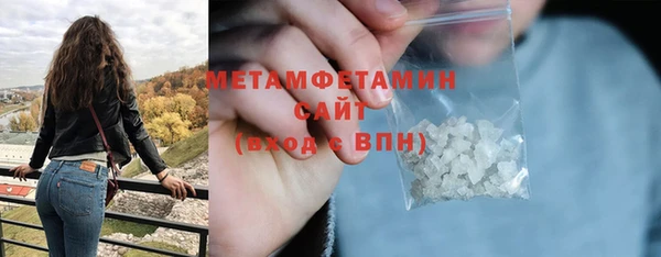 шишки Корсаков