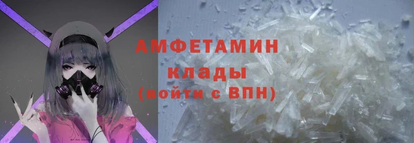 шишки Корсаков