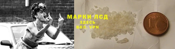 шишки Корсаков