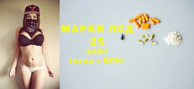 шишки Корсаков