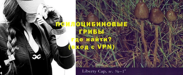 бутират Костерёво