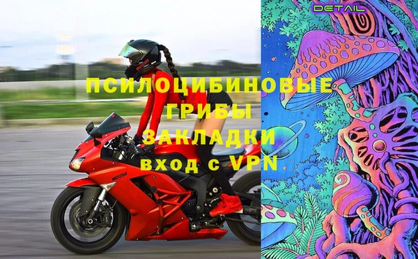 шишки Корсаков