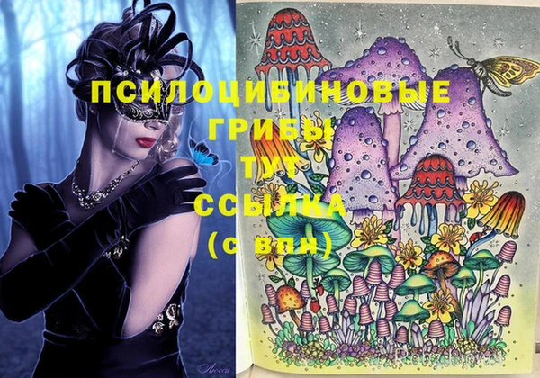 шишки Корсаков