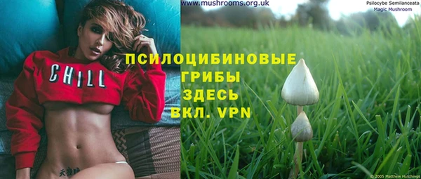бутират Костерёво